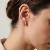 Gold Teardrop Stud Earrings
